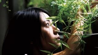 viva max full movie bilibili|Teller ng bangko kinrimpay kinanyot muna ng holdaper bago.